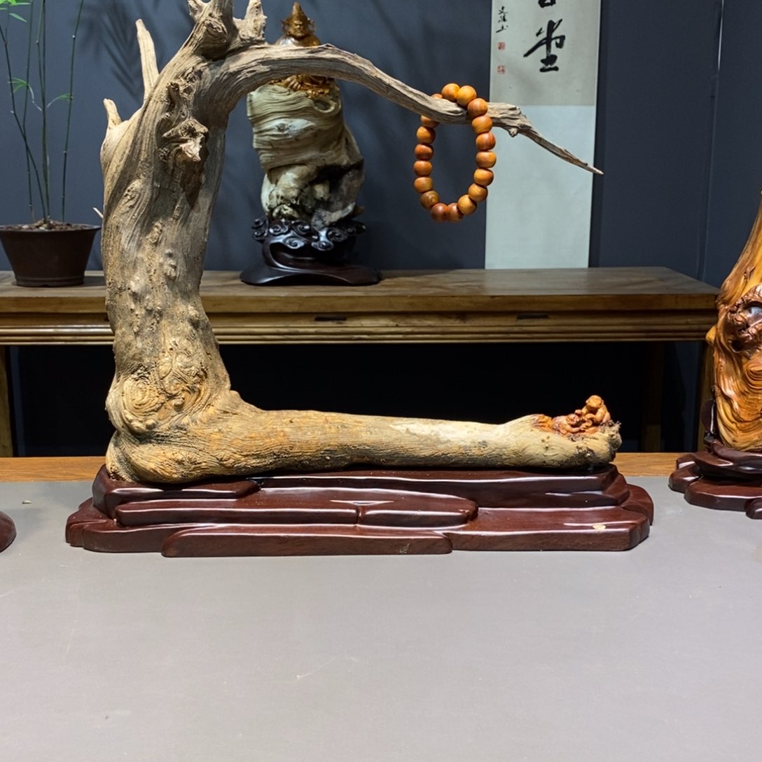 柏木（崖柏）语*111111111
