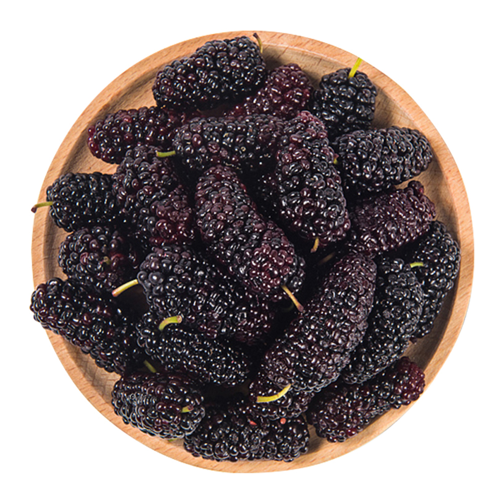 国产桑葚 250g