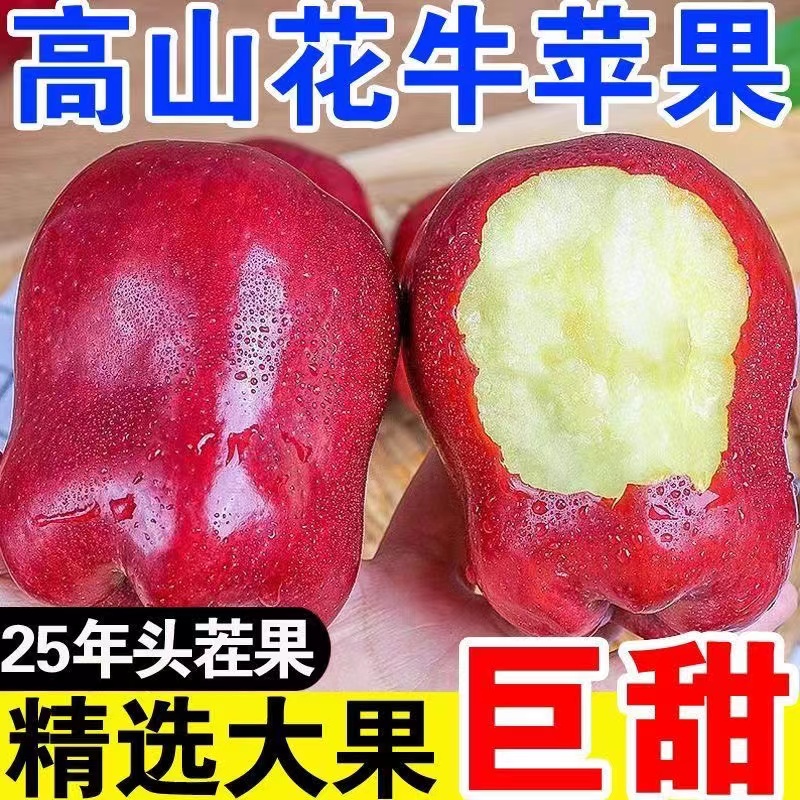 甘肃天水花牛苹果脆粉两吃新鲜红蛇果整箱包邮