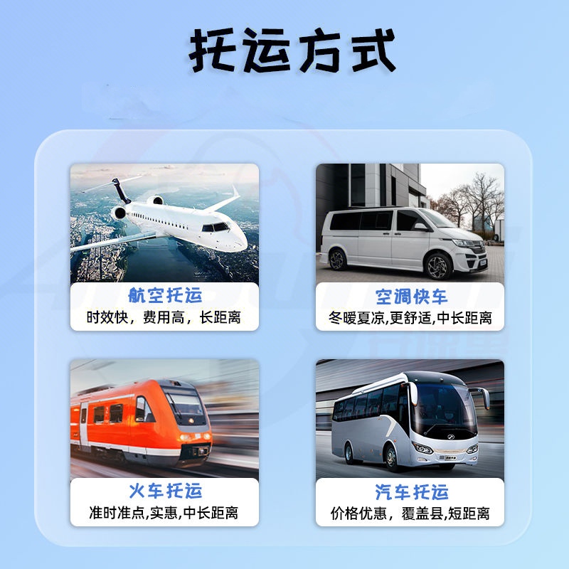 丨狗狗丨全国运服务，下单联系客服