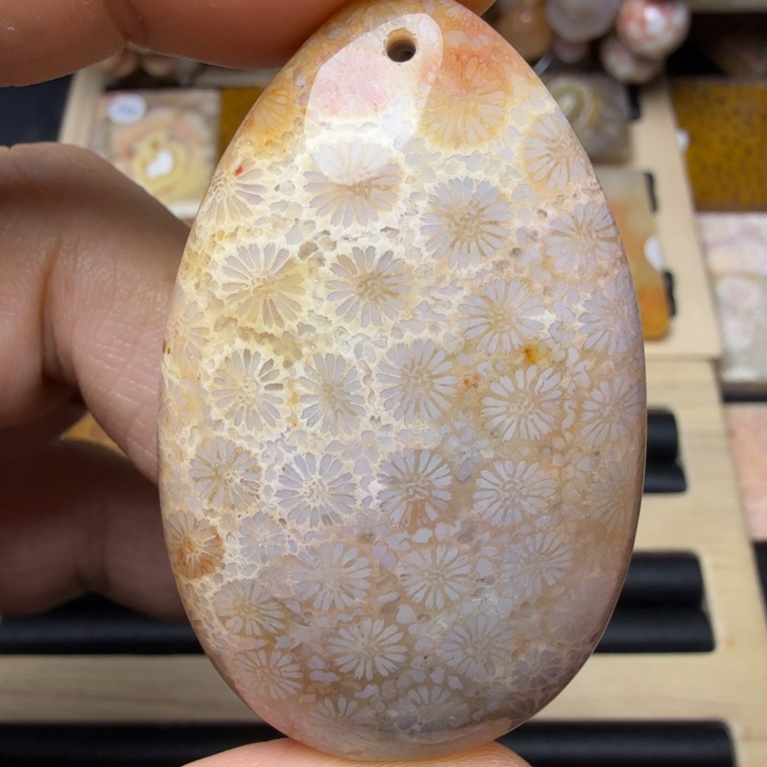 硅化玉未镶嵌纯天然色有机玉石保真色