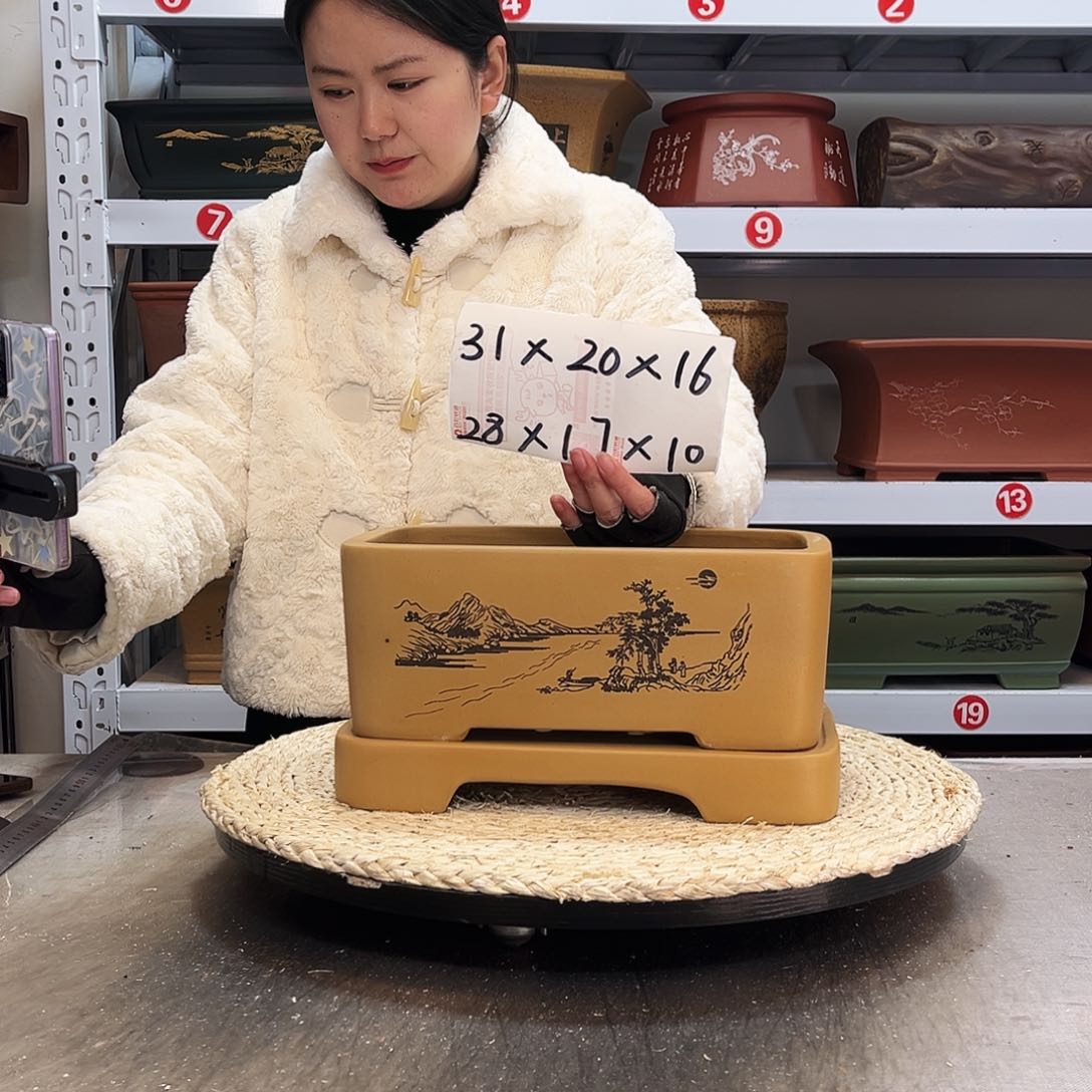 紫砂花盆紫砂花盆