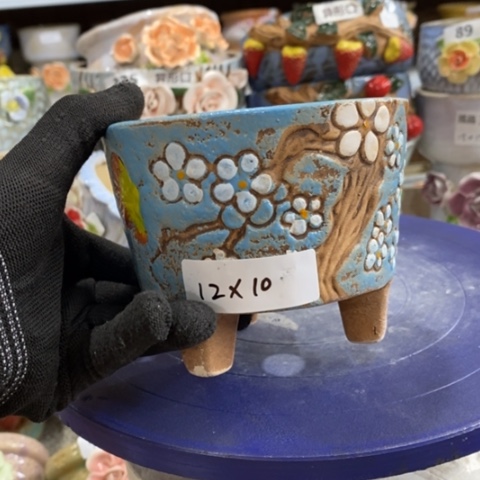 【闪购商品】红陶1 