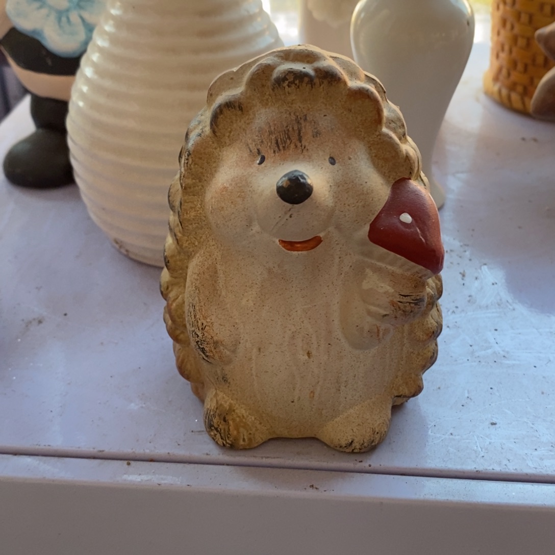 瓷片不退不换看好下单谢谢