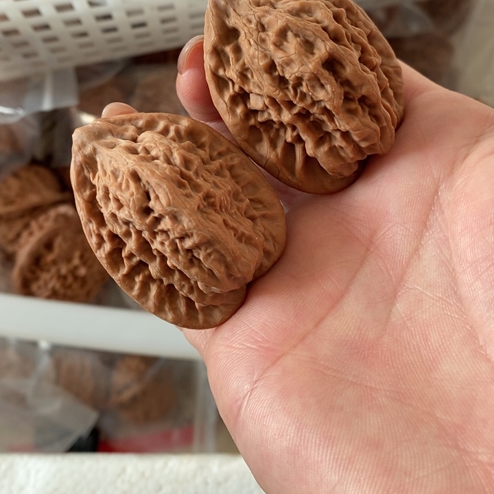 柚**度金公子金公子金公子