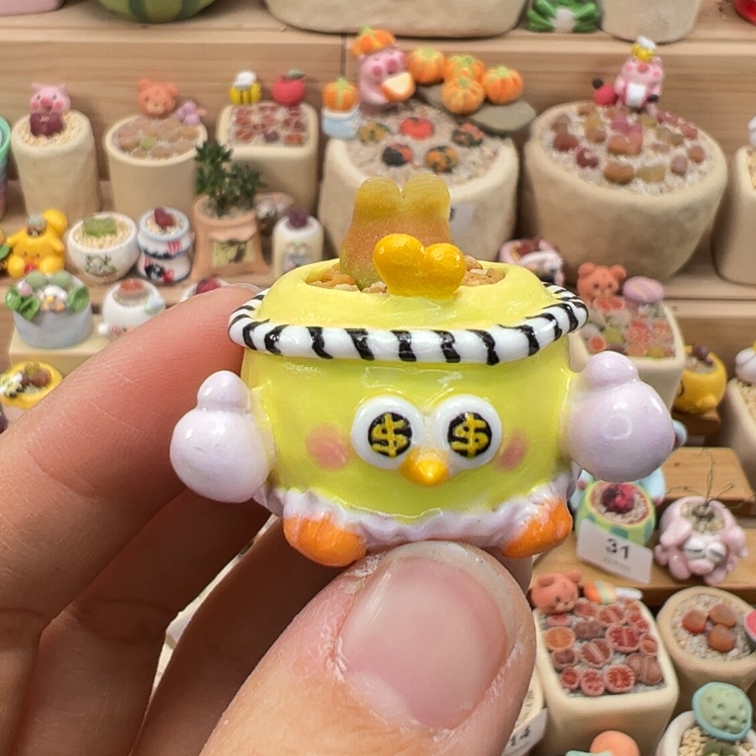 小***花多肉植物63号拇指盆