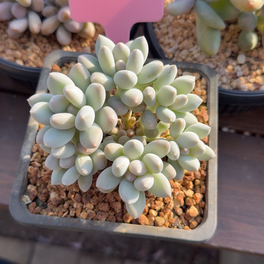 日月星辰111111111111