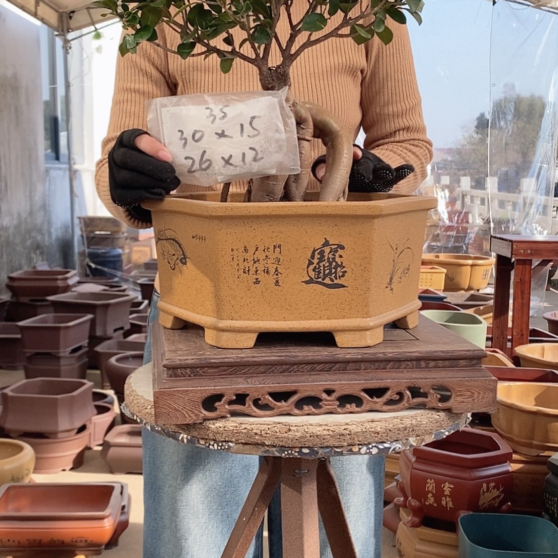 紫砂花盆紫砂花盆