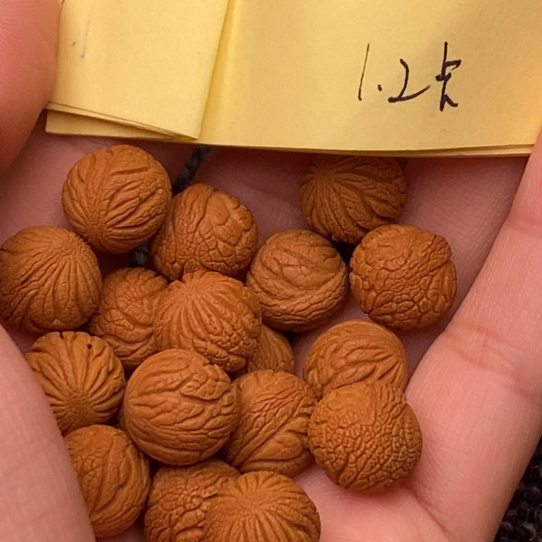 秦岭山脉龙纹桃核 20