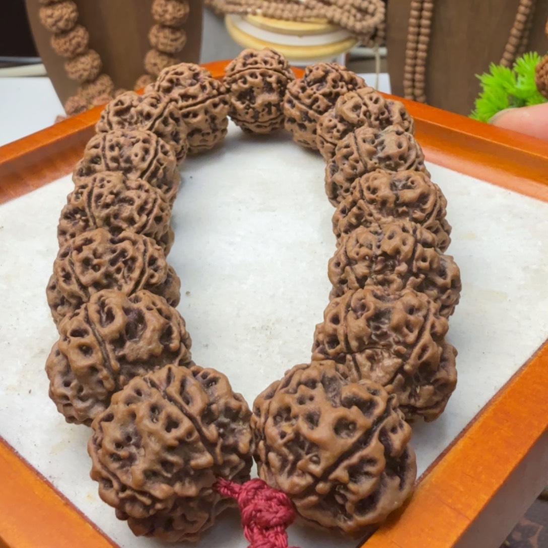 吊坠金刚菩提粗筋蜂窝双龙老古龙