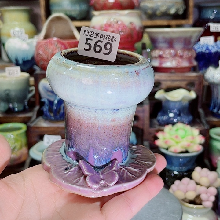 狼盆内口径5高度8