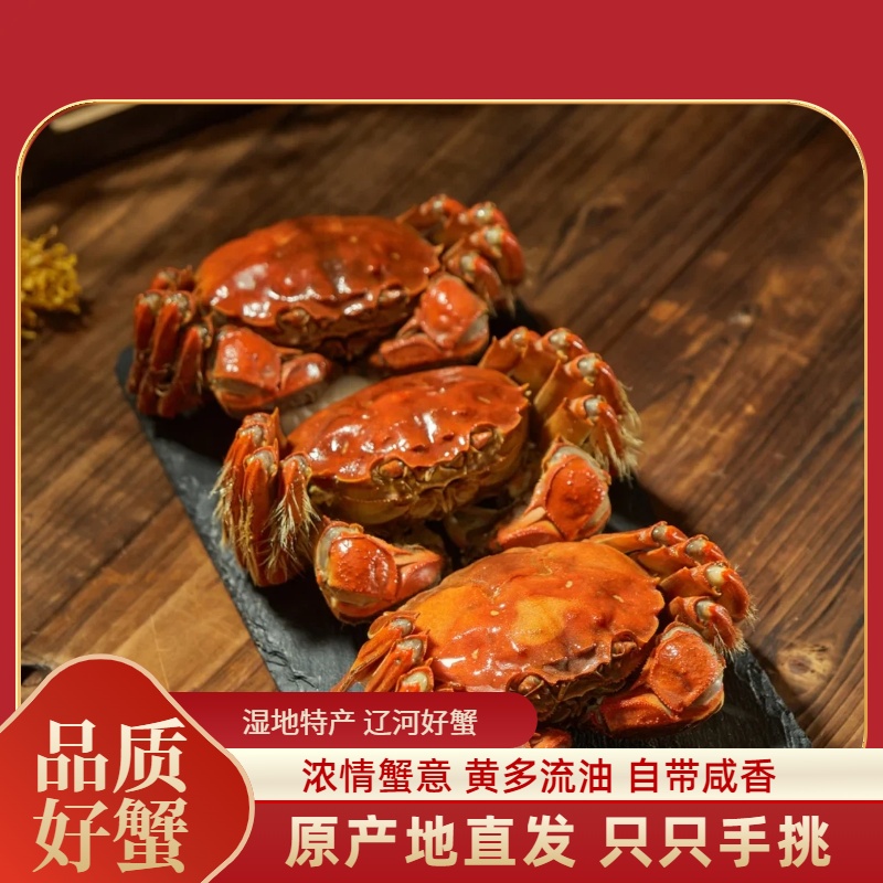 【活蟹】盘锦河蟹 母蟹 1.3-1两/只 2斤/3斤（20-30只）鲜活发货