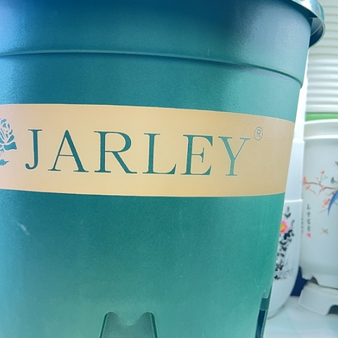 加利盆260不带托盘10个