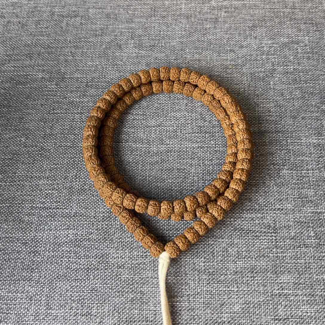 吊坠金刚菩提老树嫁接龙