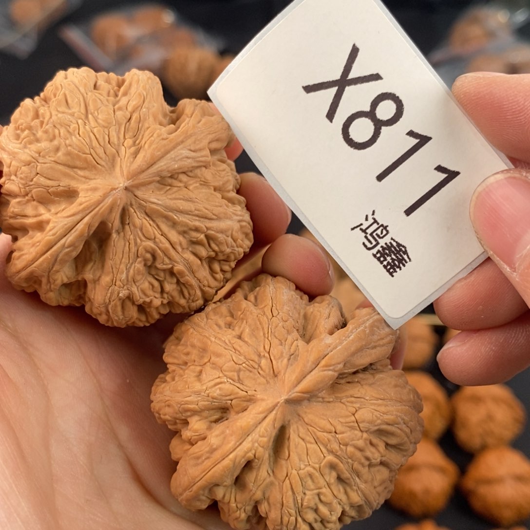 文玩核桃把件触**及48大粗筋