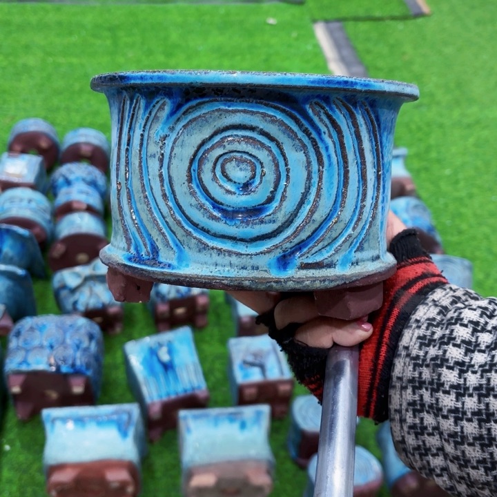 红陶苏*?我在等他来