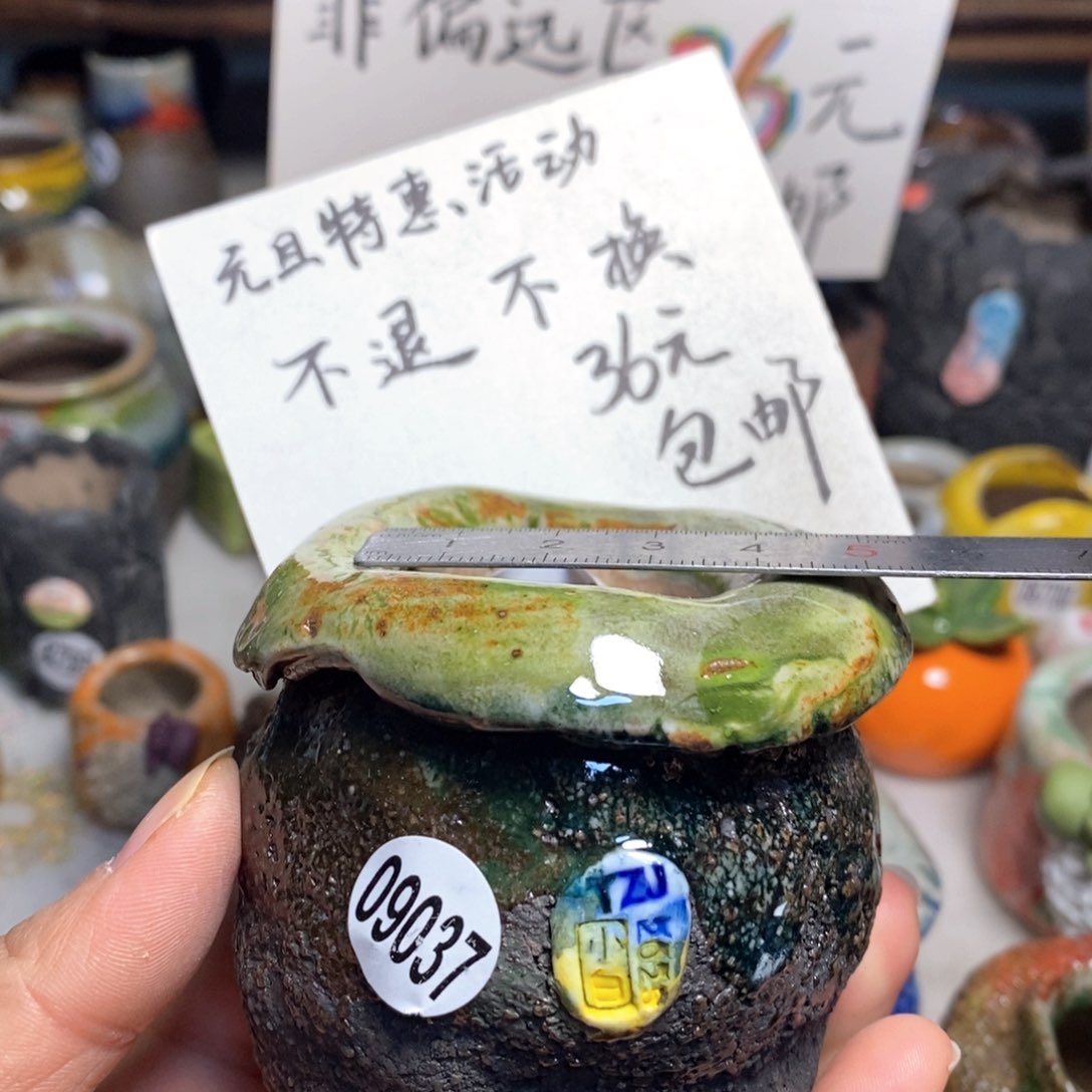 花盆处理的不退不换，原价82元