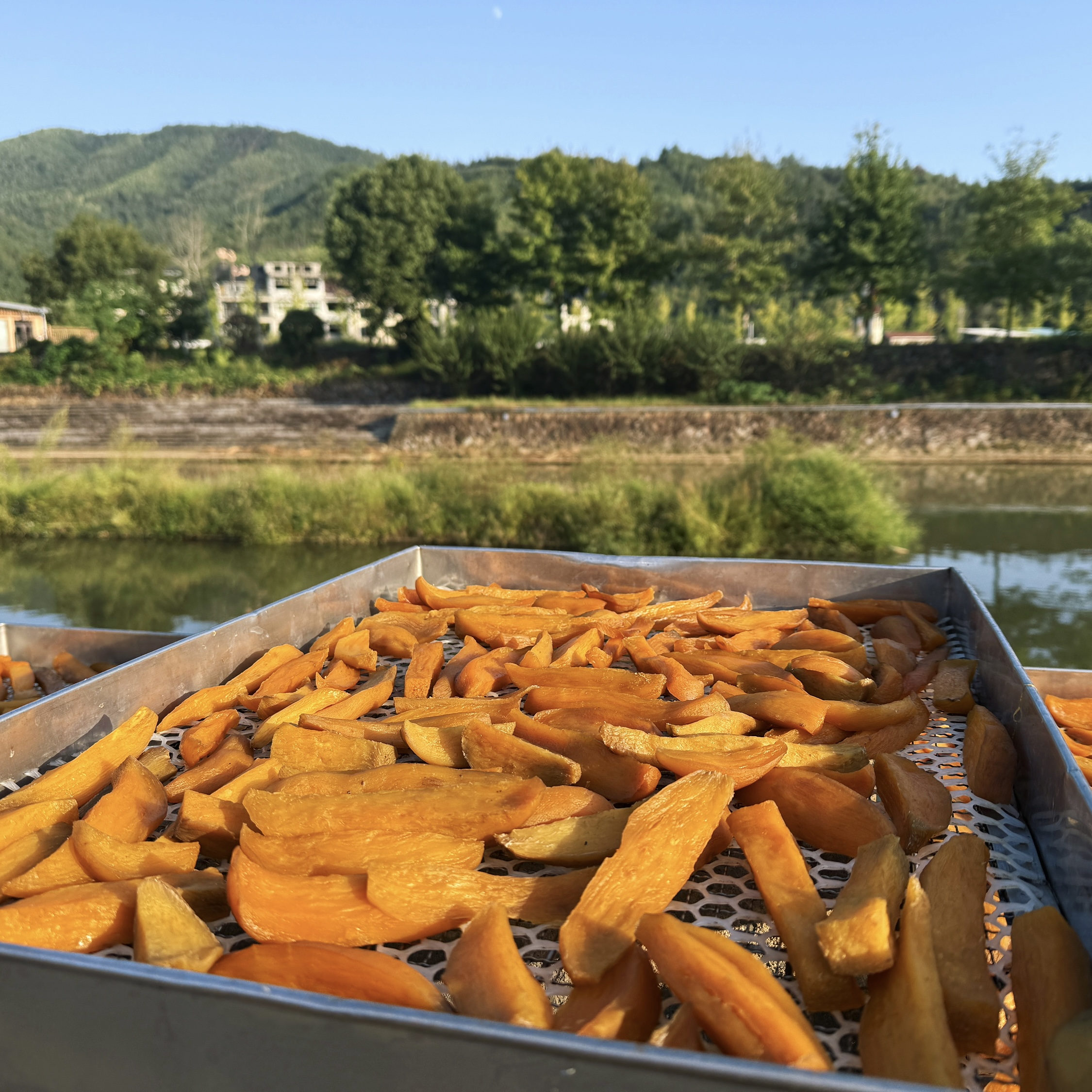 浙南即食红薯干软糯香甜地瓜干休闲零食代餐美味