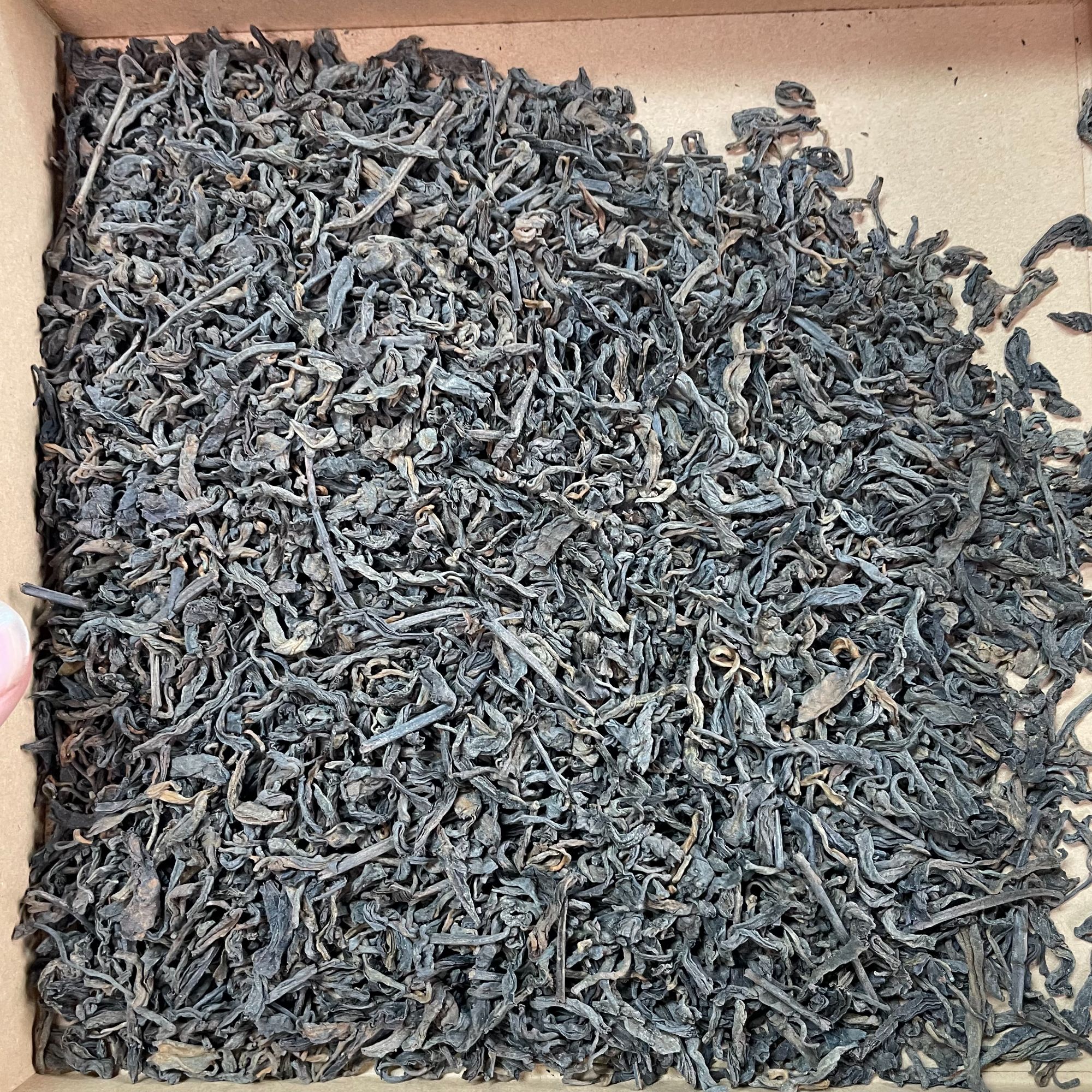 2003年樟香熟散料 普洱茶   通用链接  以实物为主