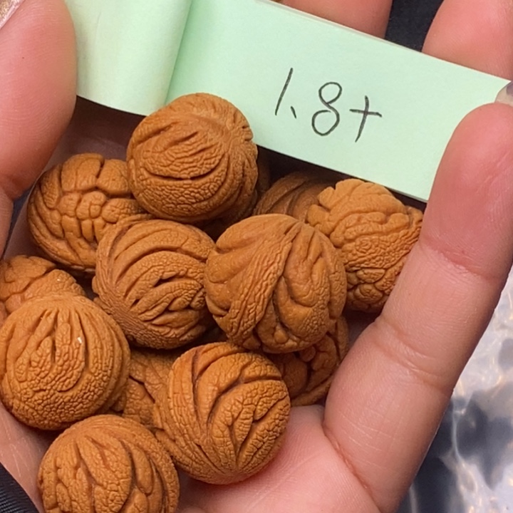 秦岭龙纹桃核14颗