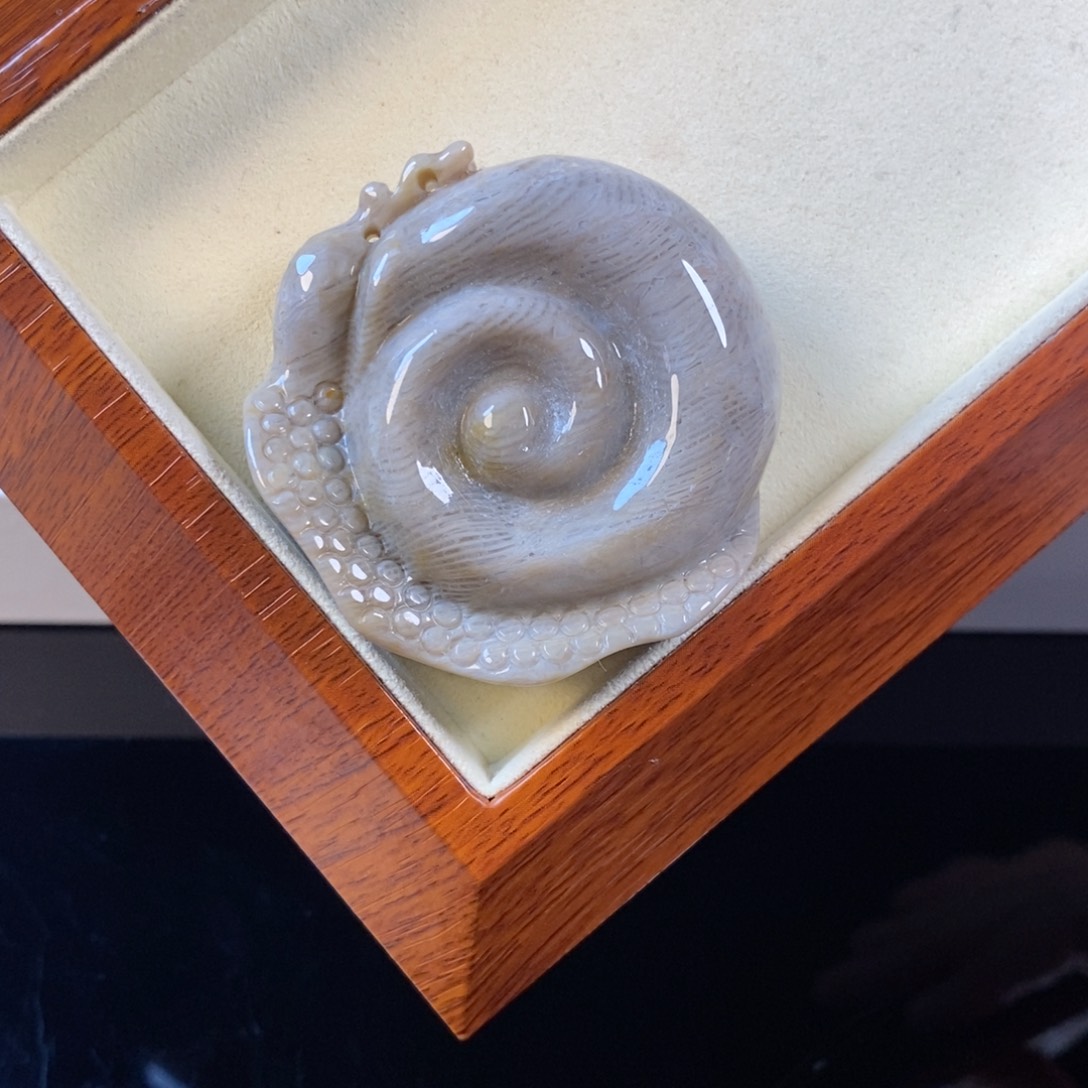 硅化珊瑚（珊瑚玉）未镶嵌颈饰99