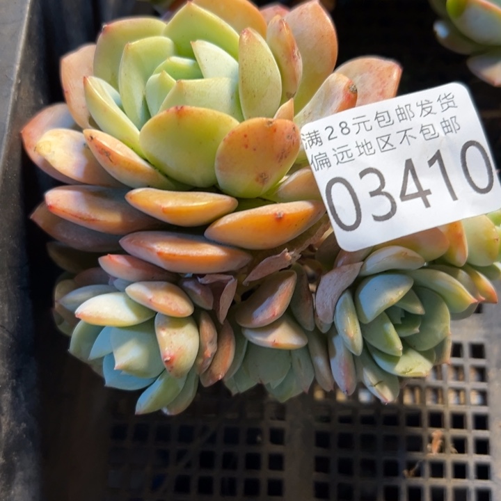 幸运的是我还没遇到