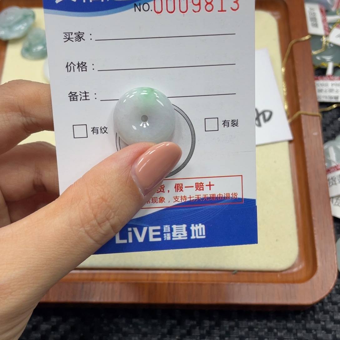 翡翠颈饰未镶嵌翡翠吊坠x 9813