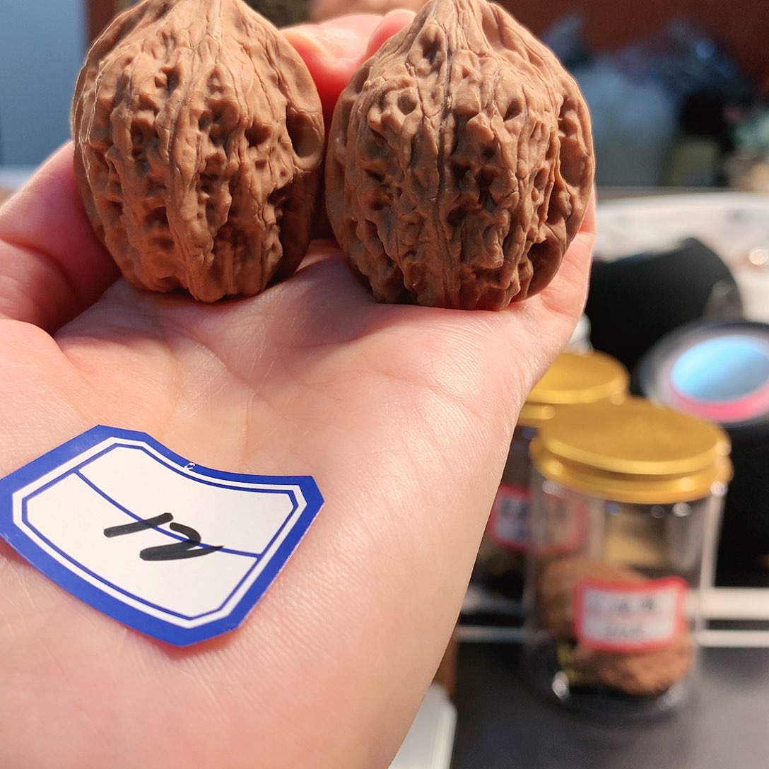 【闪购商品】吊坠文玩核桃野鸡 34尺