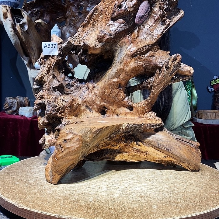 637株木随行的小根艺