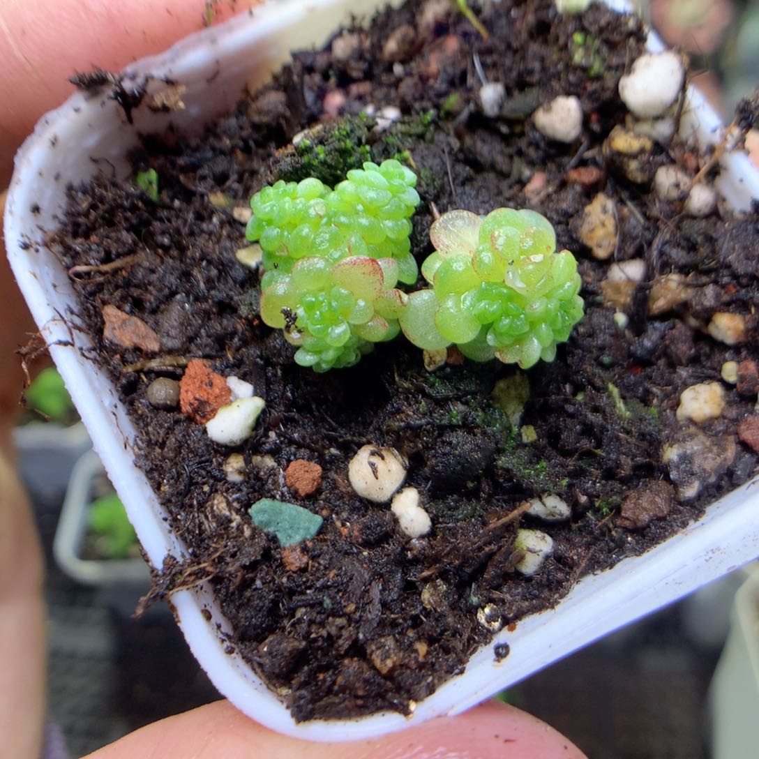 F86y y y y y y y y y y y y