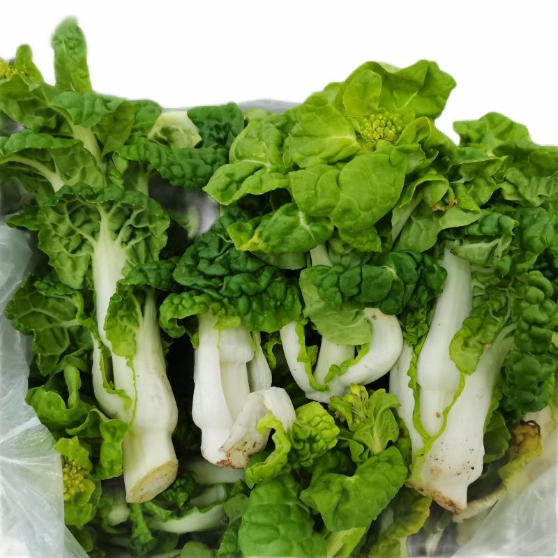 乌菜苔 400g±50g/份