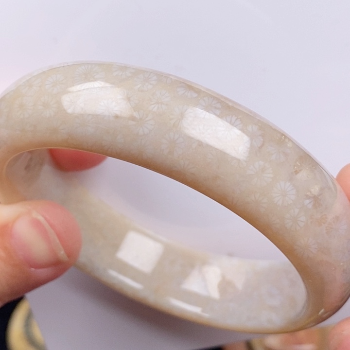 硅化玉未镶嵌颈饰58