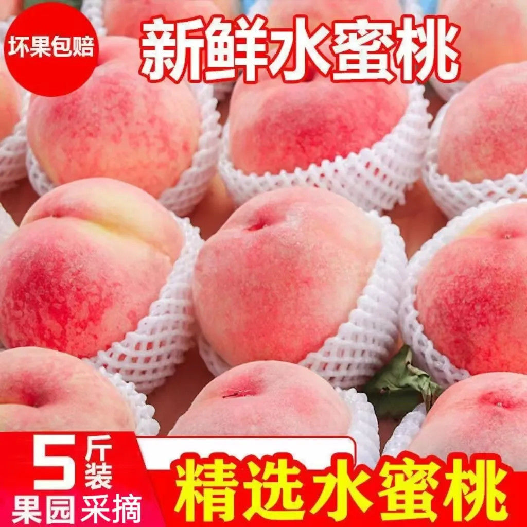 水蜜桃 鲜甜 水嫩多汁 现摘 现发 应季水果