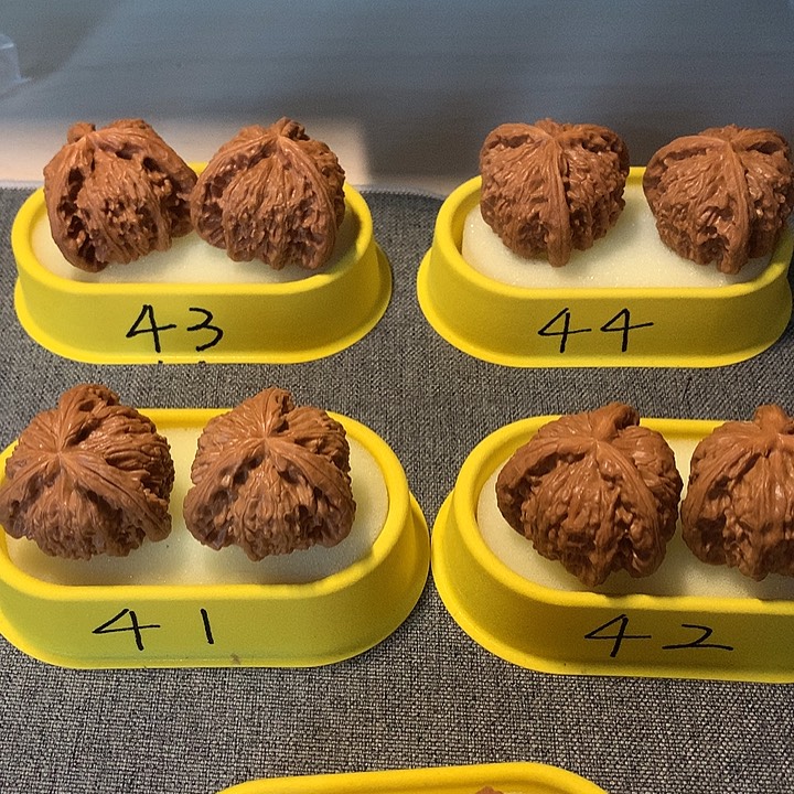 用***7吊坠文玩核桃111111111