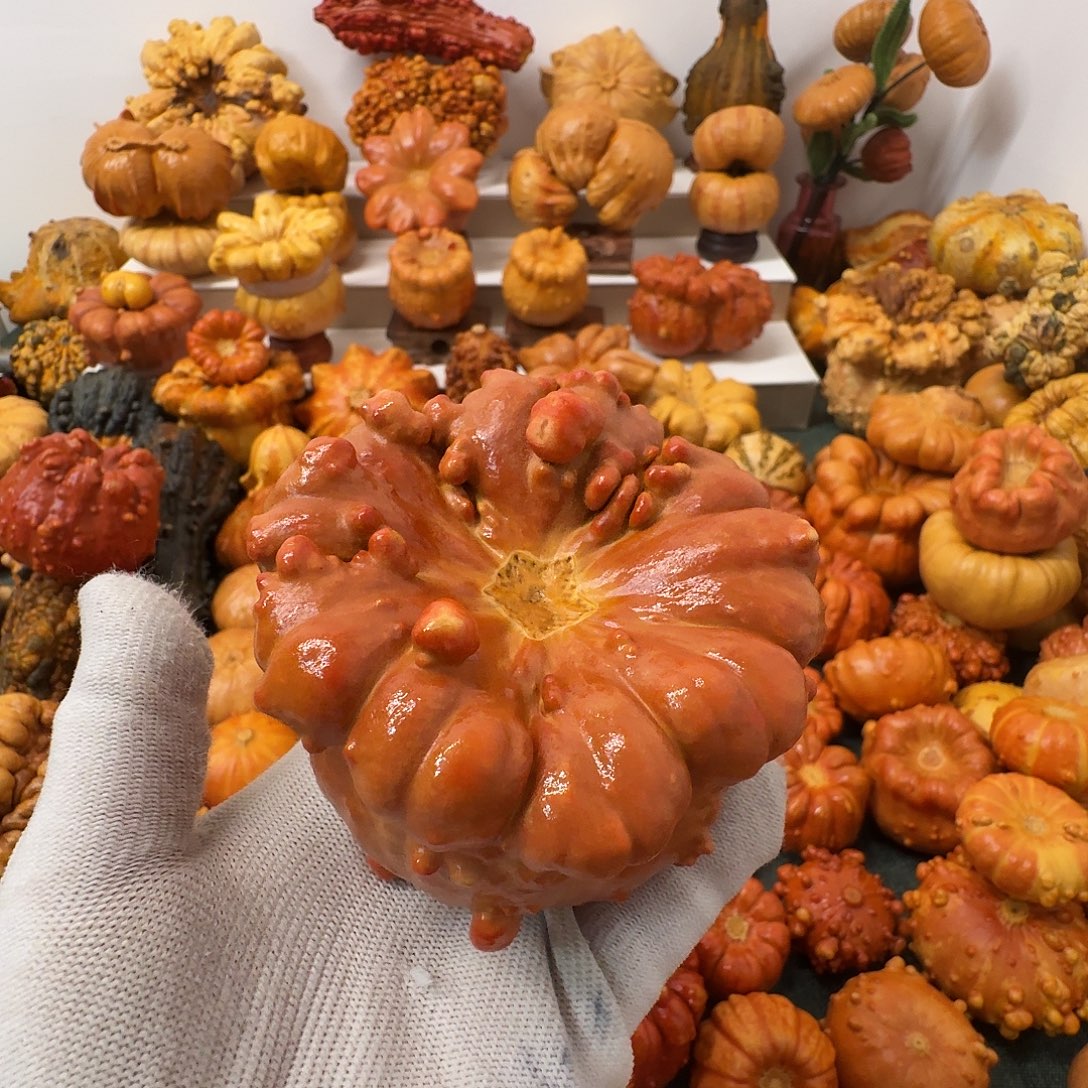 1***9墨西哥葫芦聚宝盆红色厚皮