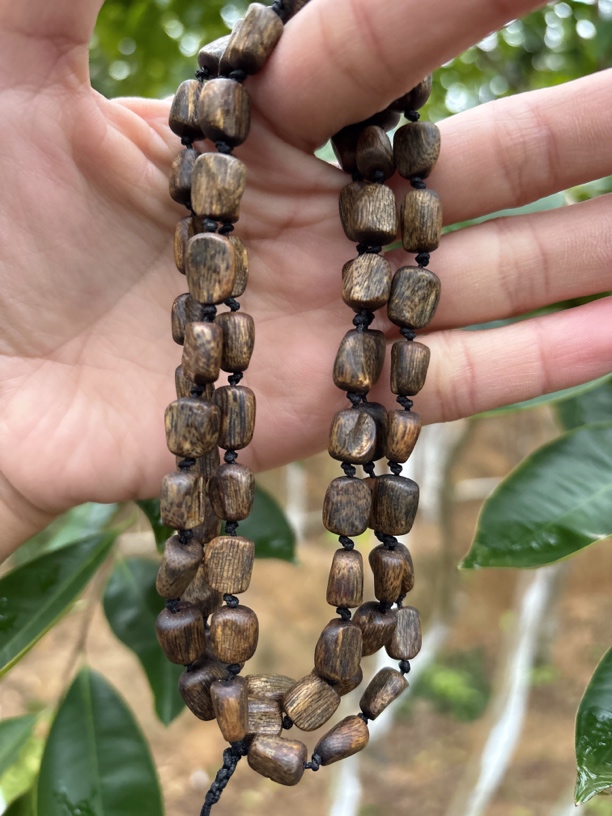 奇楠沉香野料树钉沉水级19克➕多样性发一