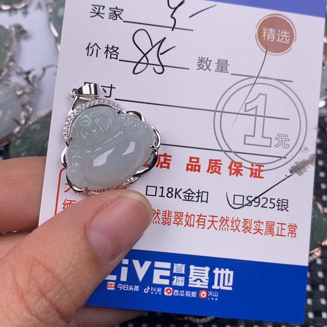 丫***头翡翠银S925镶嵌颈饰