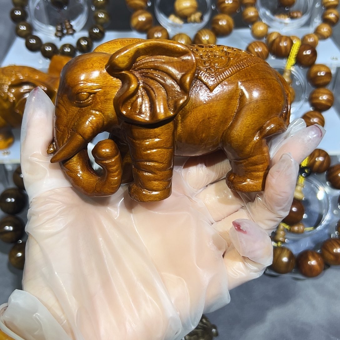 心***现其他楠木（金丝楠）