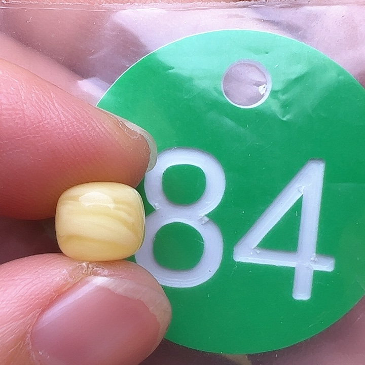 蜜蜡裸石未镶嵌L*8m m