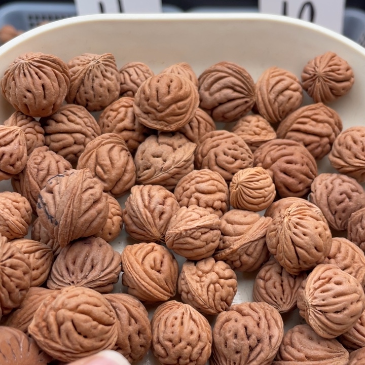 吊坠桃核金鱼眼散籽17-18，50颗