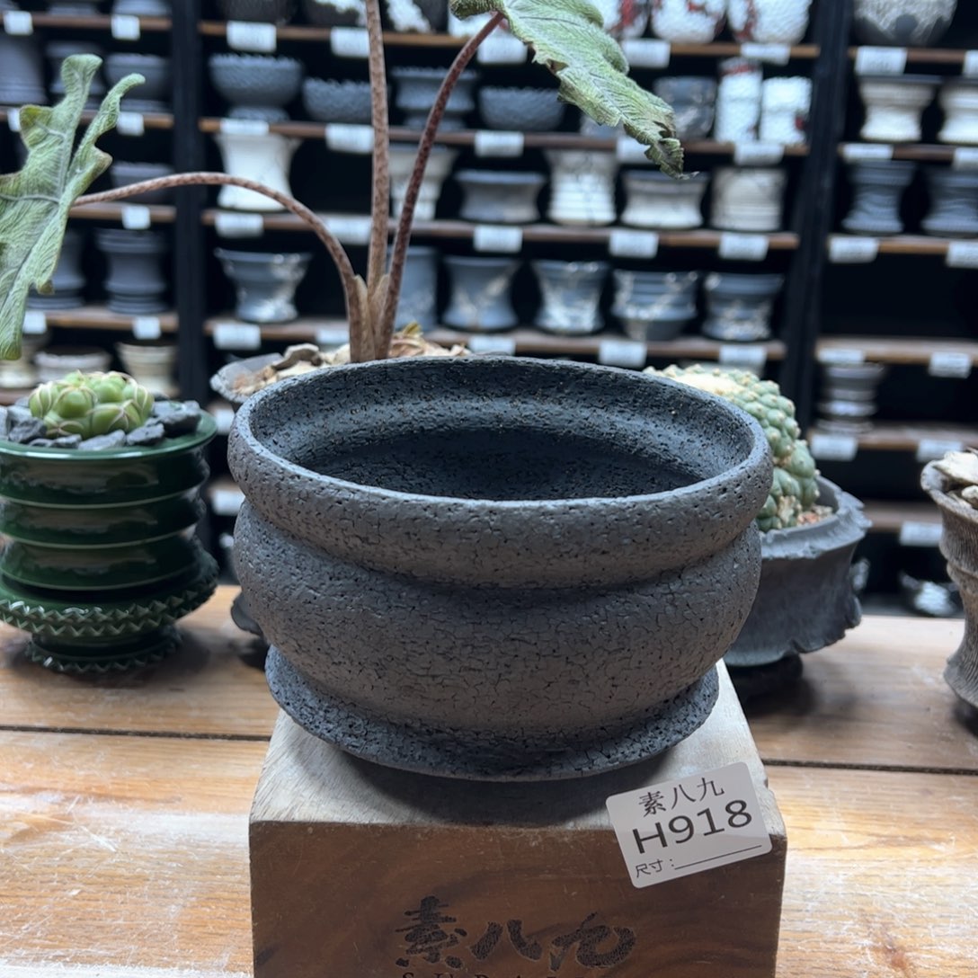 素八九陶瓷内口14.5高10