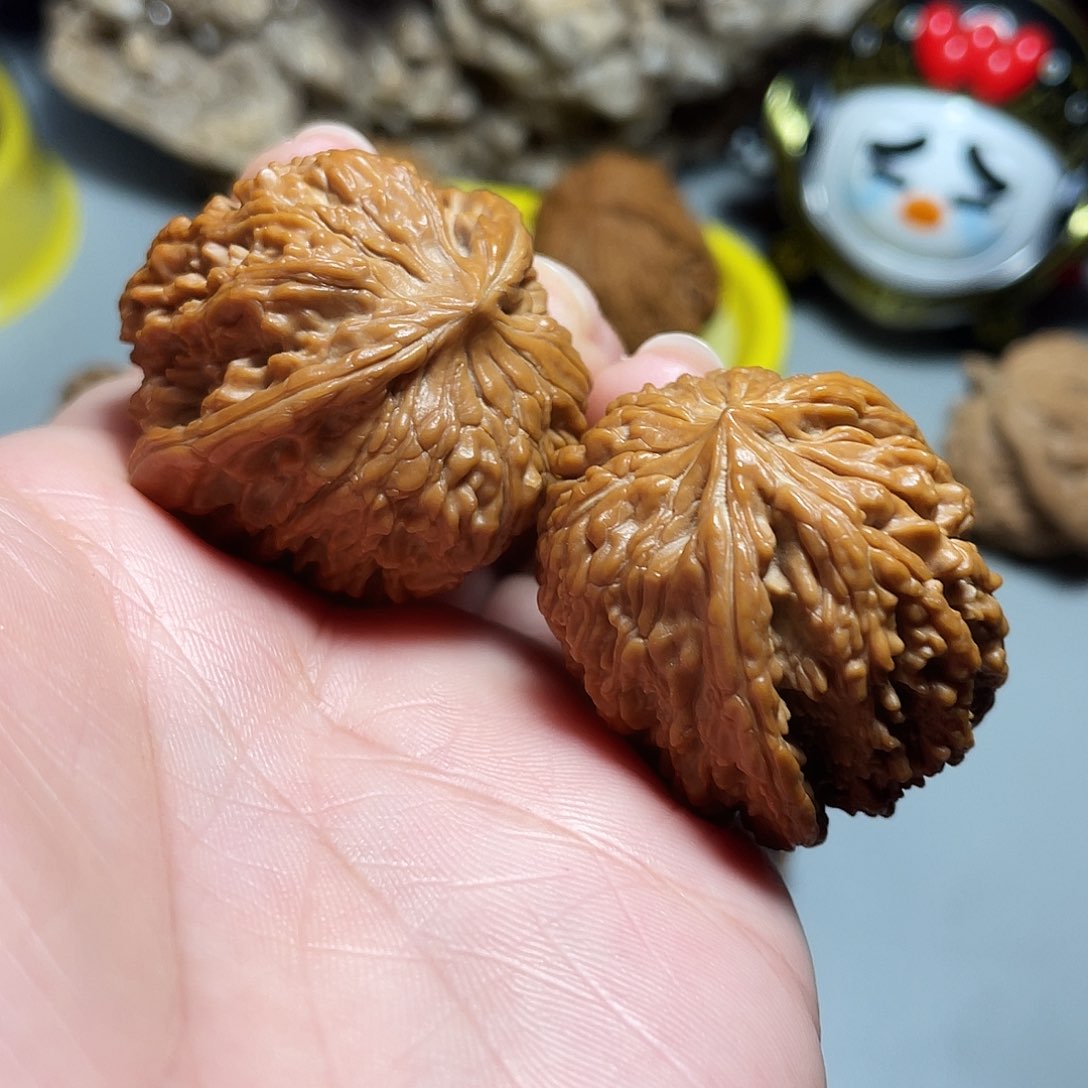 核桃手串/手链精品137飞蛇