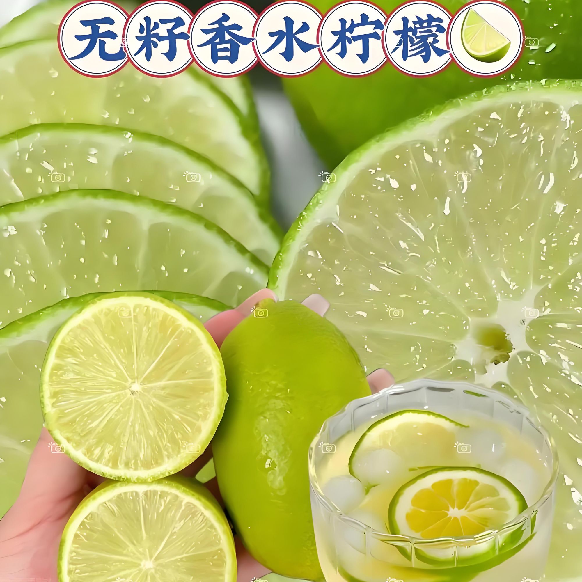 映棠香水柠檬适合阳台庭院种植基地直发