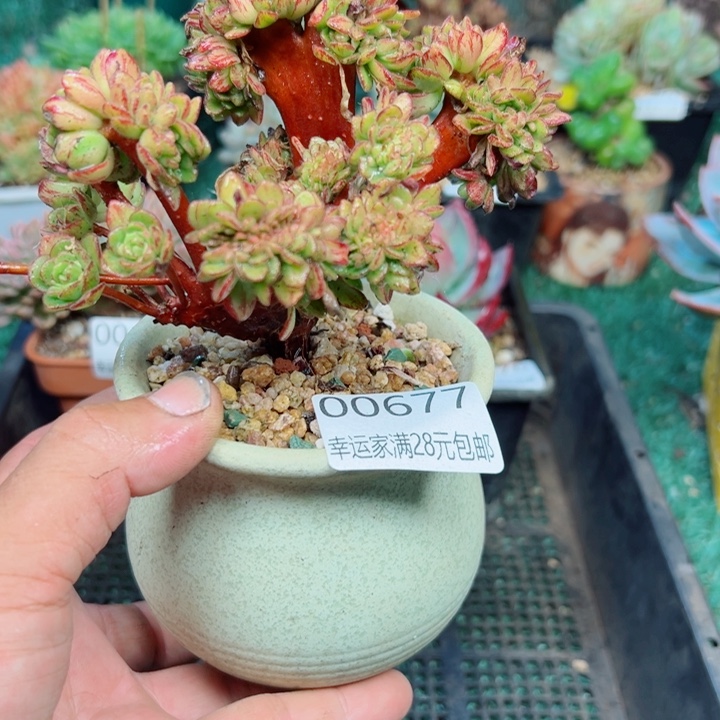 幸运的是我还没遇到