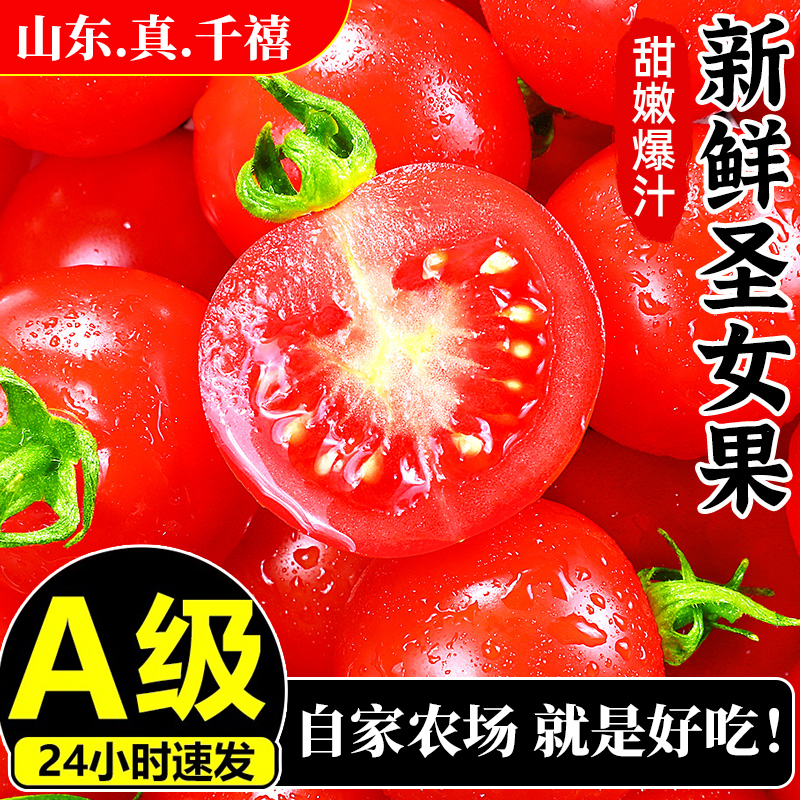 【顺丰包邮】正宗山东千禧圣女果5斤现摘现发应季玲珑爆汁小番茄