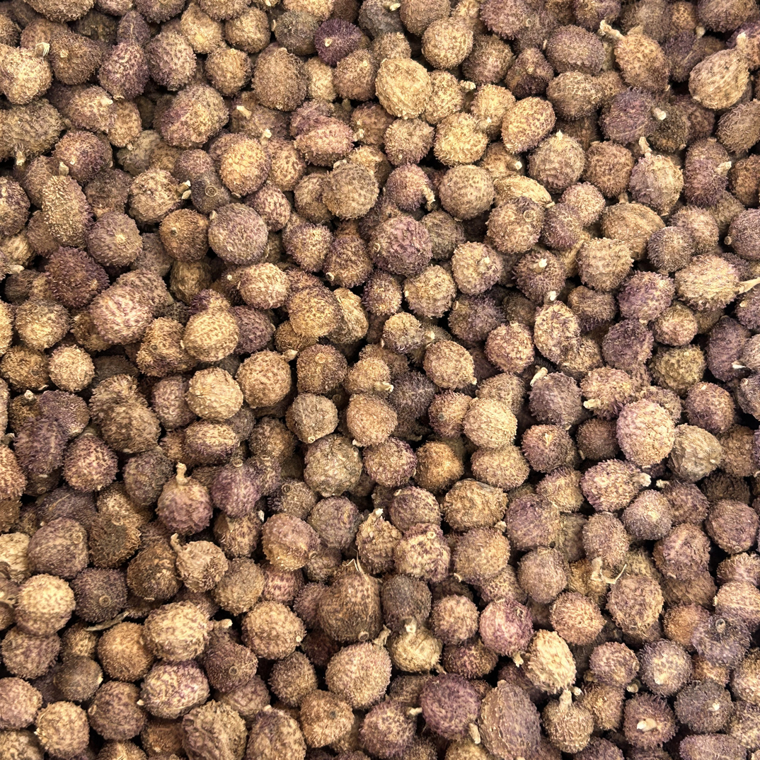 春砂仁正宗广东阳春特产春砂仁个小饱满味浓野生砂仁阳春产地直发