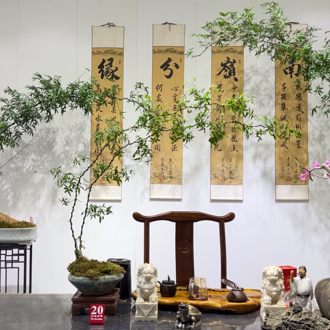 无花朵茶台小精品