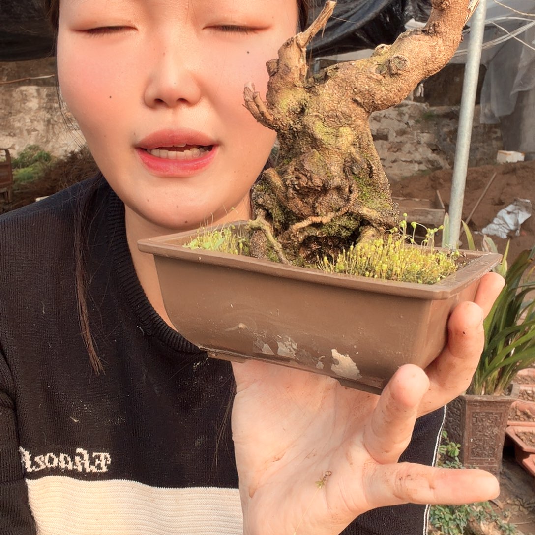 肥***8无花朵送福利肥料肥料