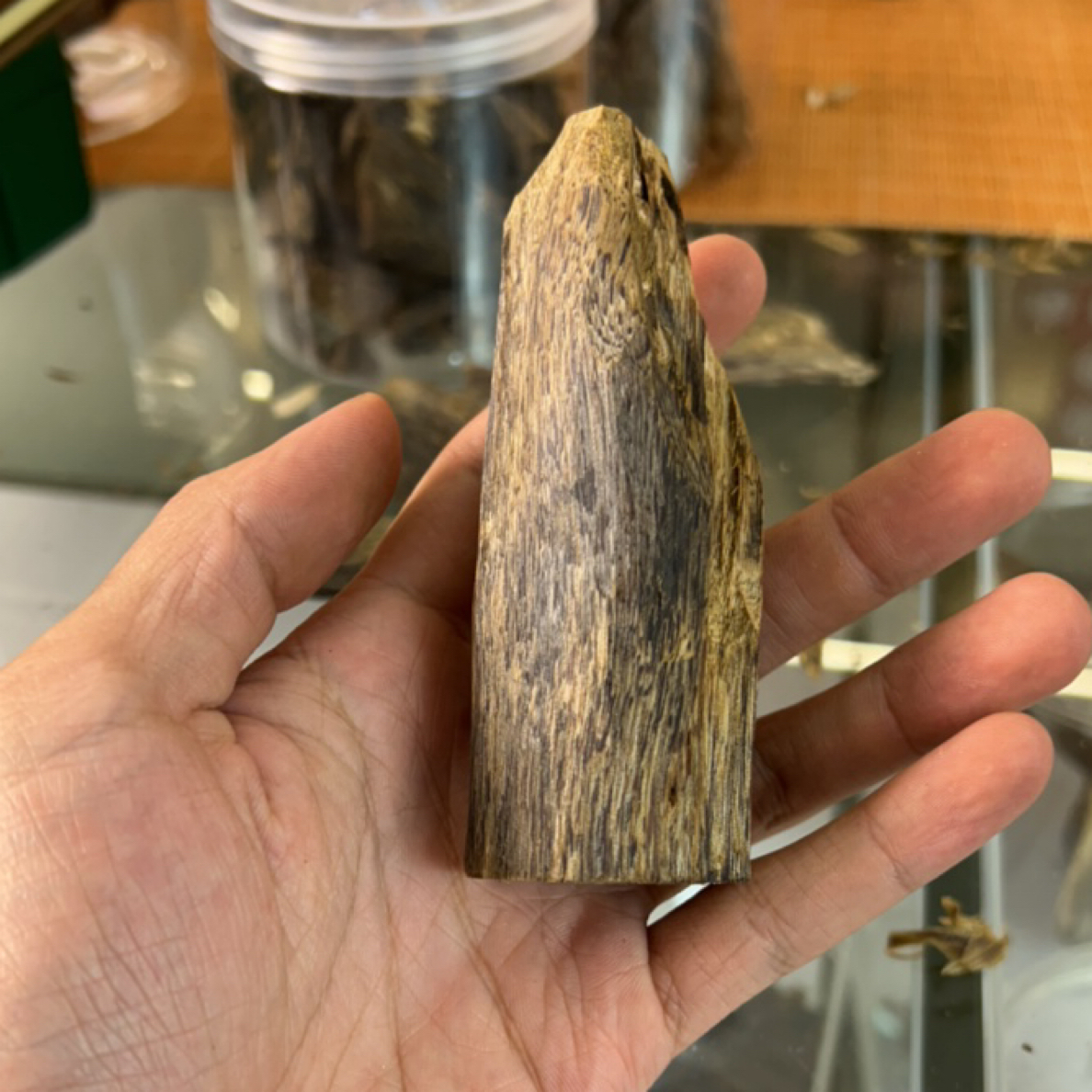 白露熏香虫漏45克