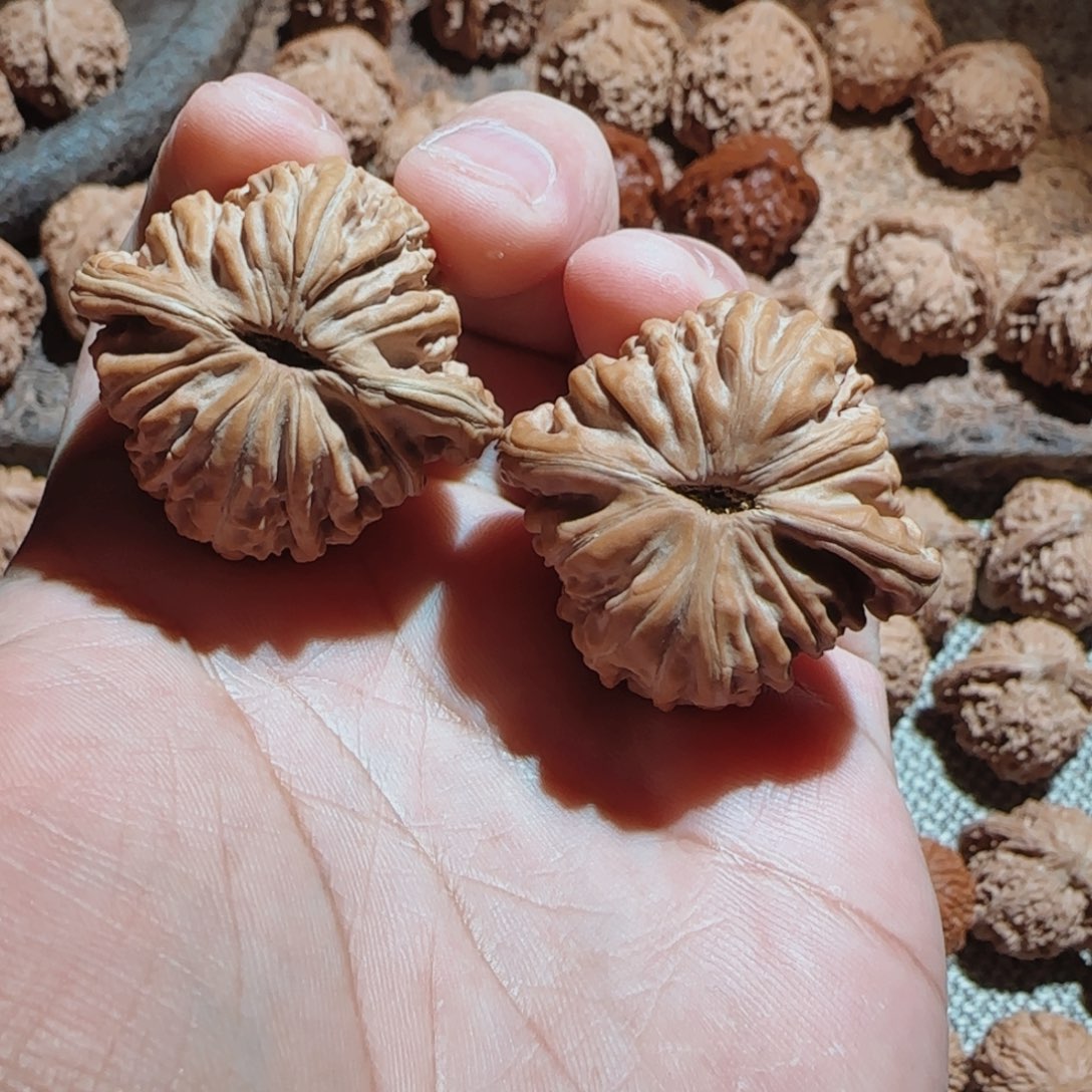 核桃手串/手链B***Y38全品汉高楼